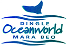 Dingle_OceanWorld